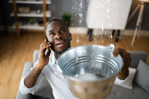 Best 24/7 water damage repair  in Enon, OH