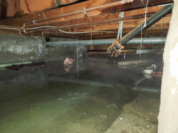 Best Water damage restoration services  in Enon, OH