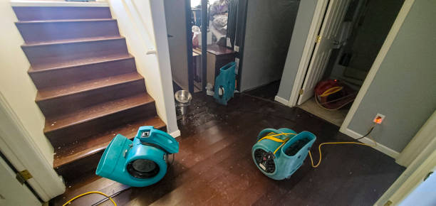 Best Ceiling water damage repair  in Enon, OH