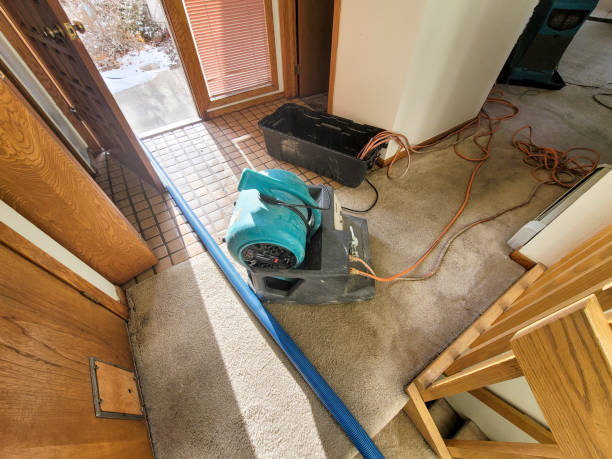 Best Flood damage cleanup  in Enon, OH