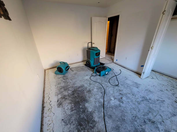 Best Ceiling water damage repair  in Enon, OH