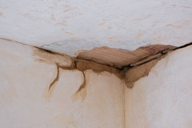 Reliable Enon, OH Water damage restoration Solutions