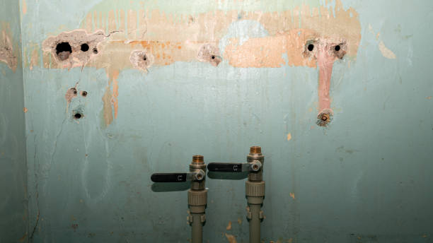 Best Local water damage restoration  in Enon, OH