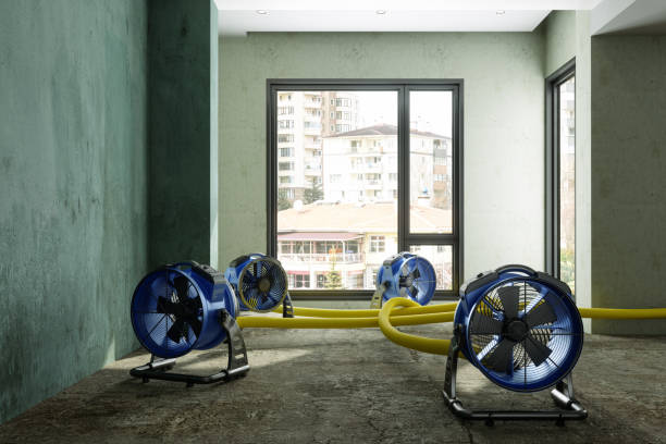 Best Basement water damage restoration  in Enon, OH